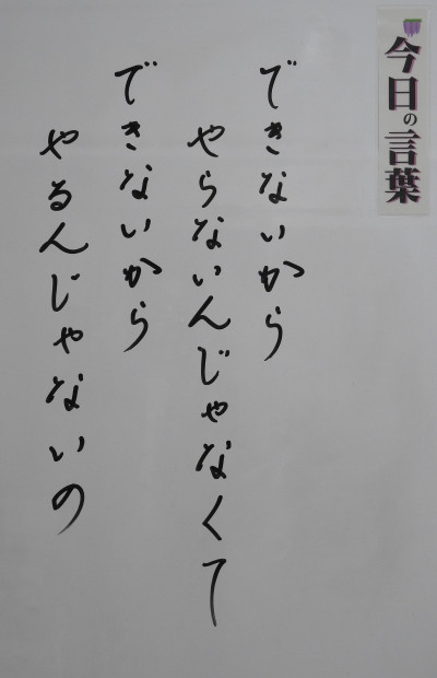 DSCN0341