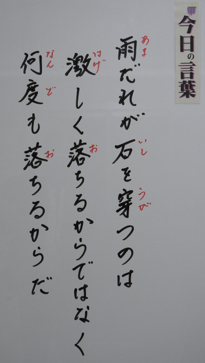 DSCN0202