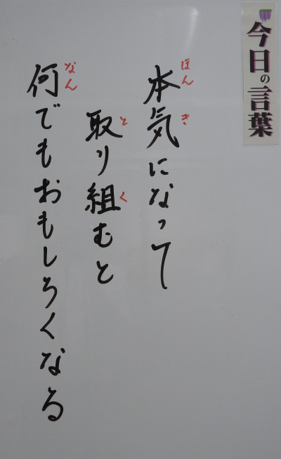 DSCN0206