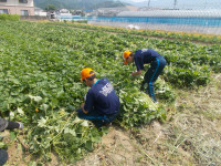DSCN0952