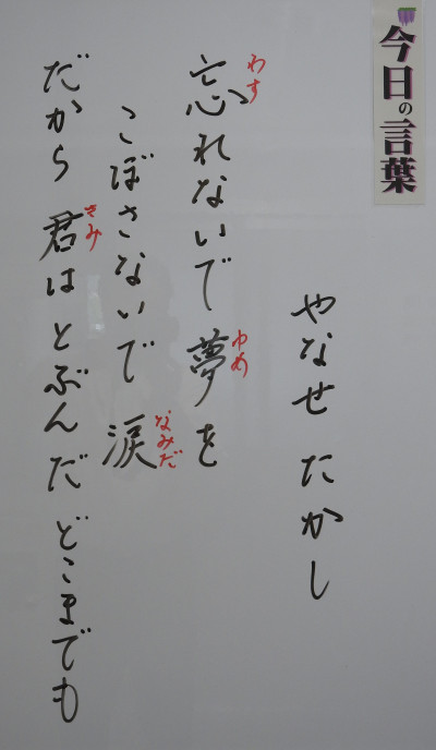 DSCN0229