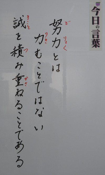 DSCN0237