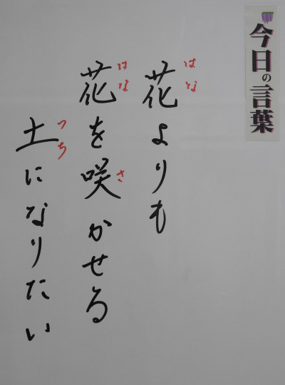 DSCN0310
