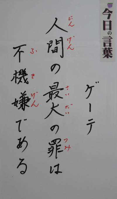 DSCN0312