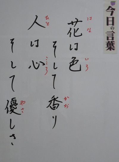 DSCN0329