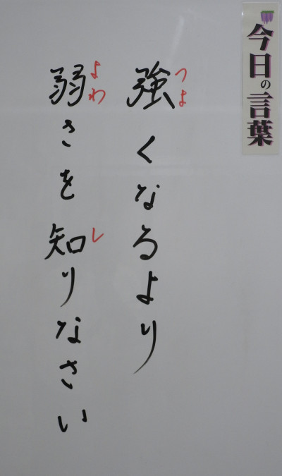 DSCN0331