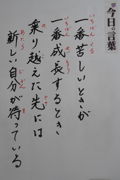 DSCN0342