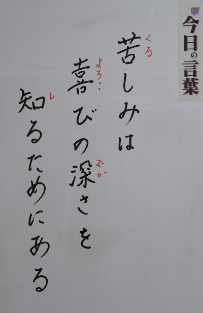 DSCN0346