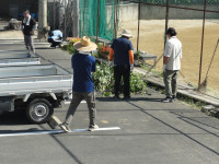 DSC00641